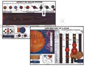 POLYART PLASTIC CHARTS